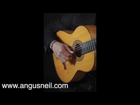 Angus Neil — photo 21